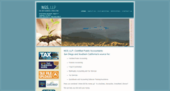 Desktop Screenshot of ngsllp.com